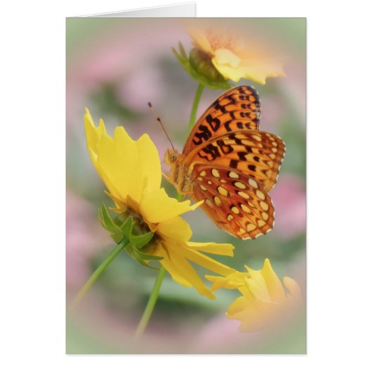 Fritillary World Cards (Front)