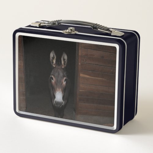 Frito the Donkey Metal Lunch Box