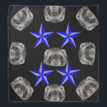 fritz the ferret bandana<br><div class="desc">fritz the ferret from Raven' magickal ferretry</div>