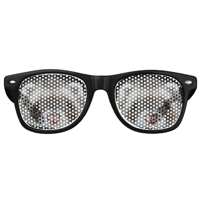 fritz the ferret retro sunglasses (Front)