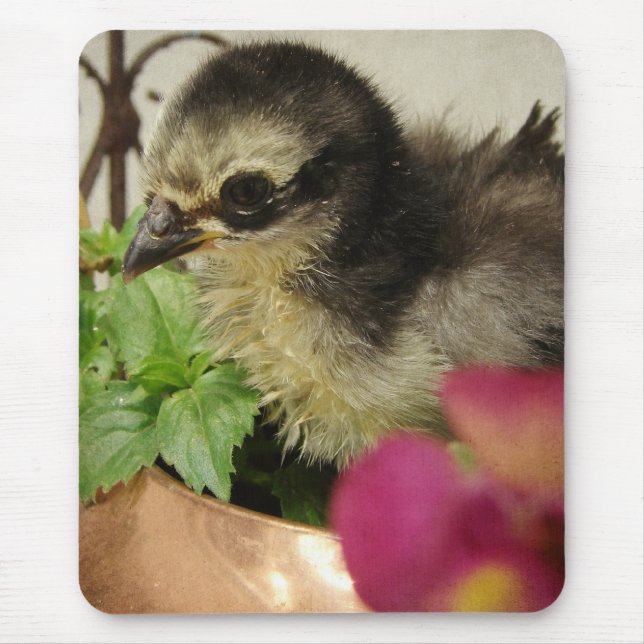 Frizzle Chick in Flowers Mouse Pad (Front)