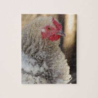 Frizzle Rooster Jigsaw Puzzle