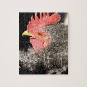 Frizzle Rooster Jigsaw Puzzle