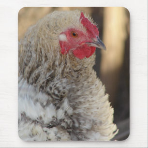 Frizzle Rooster Mouse Pad