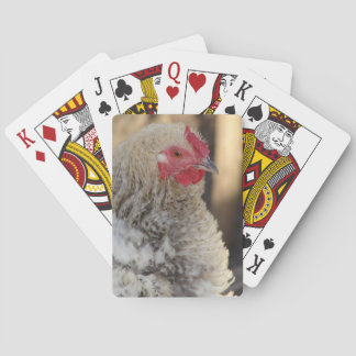 Frizzle Rooster Poker Cards