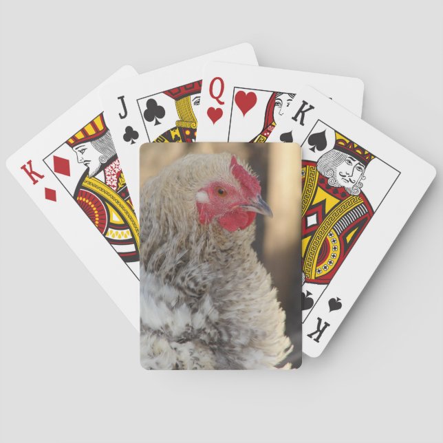 Frizzle Rooster Poker Cards (Back)