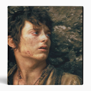 FRODO™ in Despair Binder