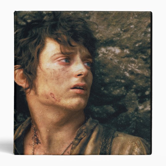 FRODO™ in Despair Binder (Front)
