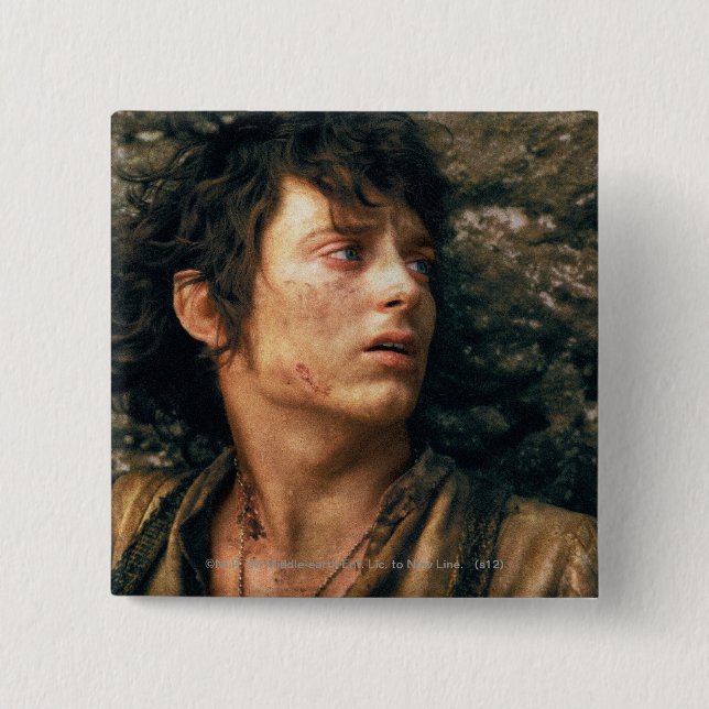 FRODO™ in Despair Pinback Button (Front)