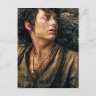 FRODO™ in Despair Postcard