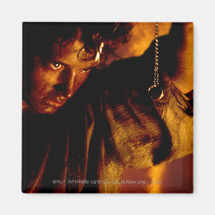 FRODO™ Stares at Ring Magnet