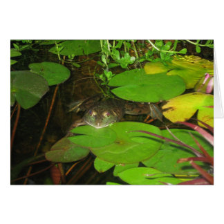 frog 015 cards