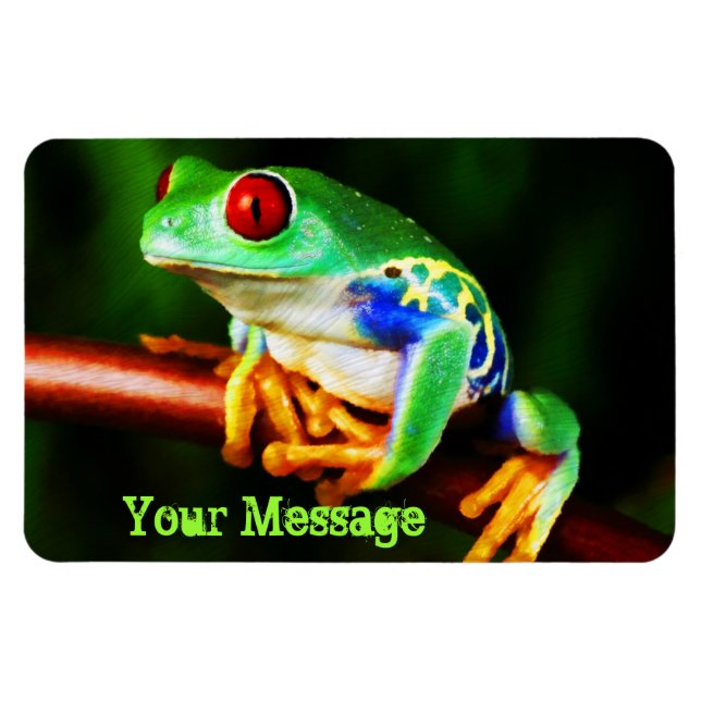 Frog 1 Premium Magnet (Horizontal)