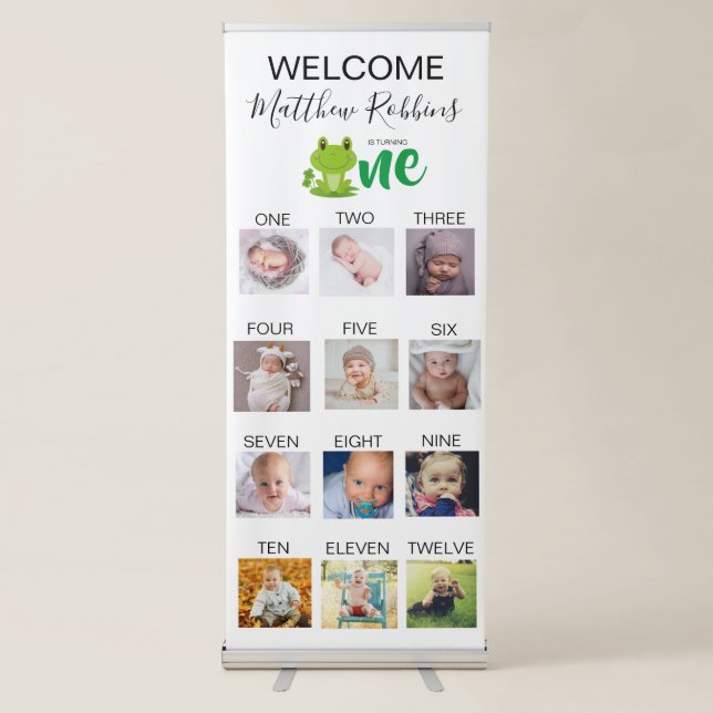 Frog 1st Birthday Party Retractable Banner (Front)