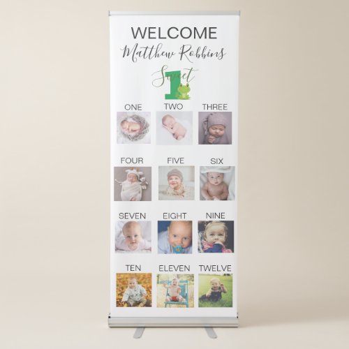Frog 1st birthday party retractable banner