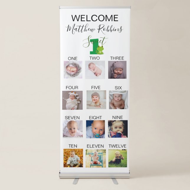Frog 1st birthday party retractable banner (Front)