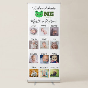 Frog 1st birthday photo milestone retractable banner