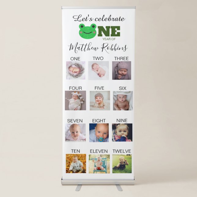 Frog 1st birthday photo milestone retractable banner (Front)