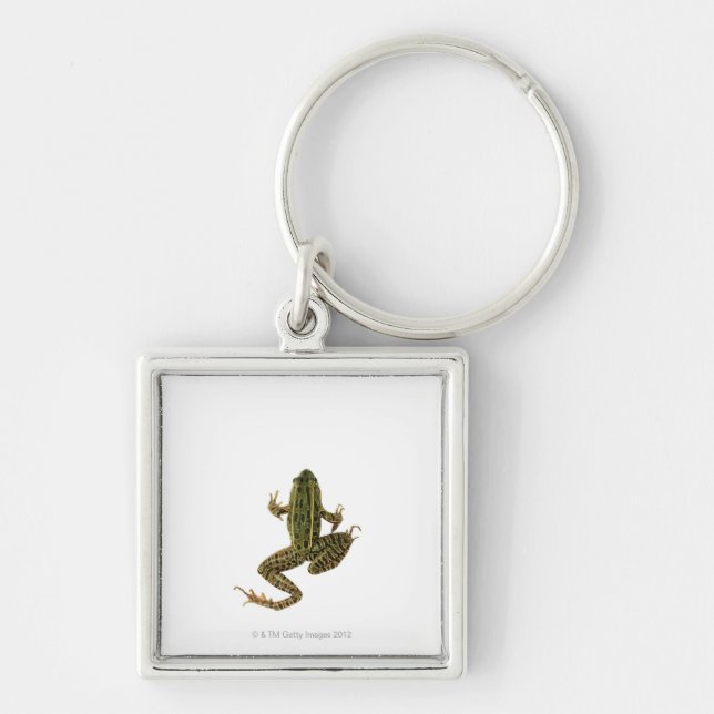 Frog 2 keychain (Front)