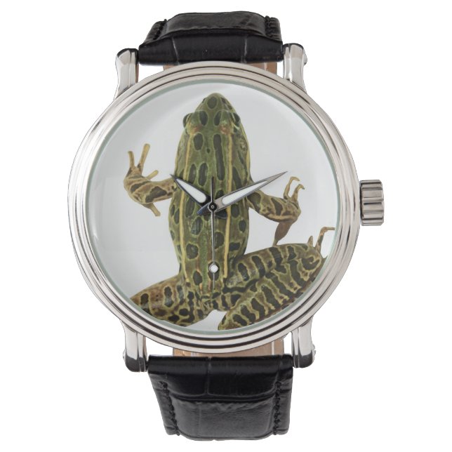 Frog 2 watch (Front)