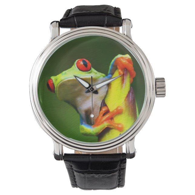 Frog  2 Watch & Numeral Options (Front)