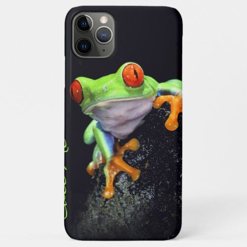 Frog 3 iPhone Case