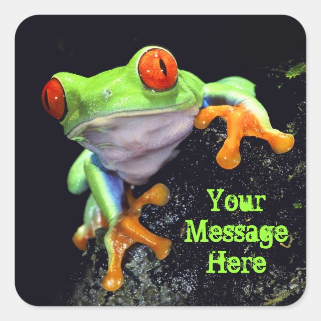 Frog 3 Sticker (Front)