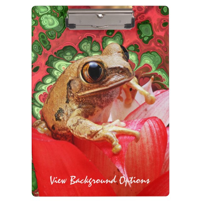 Frog 5 Clipboard Options (Front)
