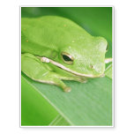 frog-64.jpg temporary tattoos