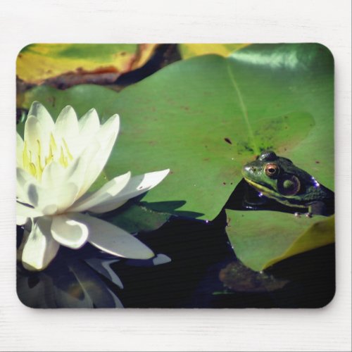 Frog Admiring Lotus Water Lily Flower Mouse Pad