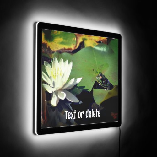 Frog Admiring Lotus Water Lily Personalized LED Sign