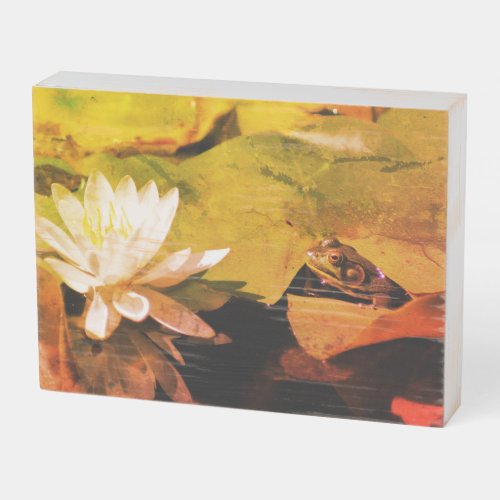 Frog Admiring Water Lily Abstract Distressed Wooden Box Sign