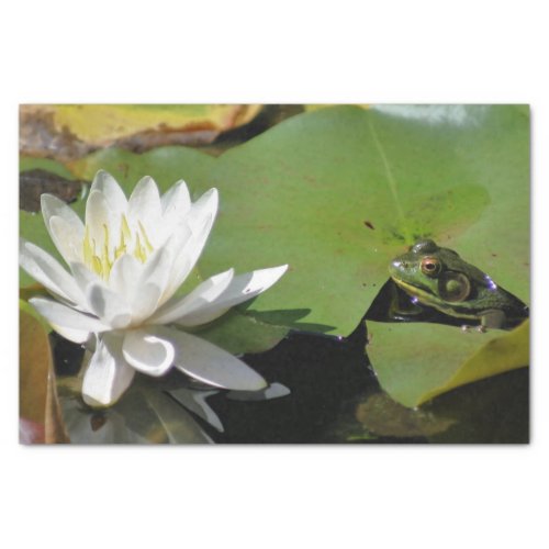 Frog Admiring Water Lily Decoupage  Tissue Paper