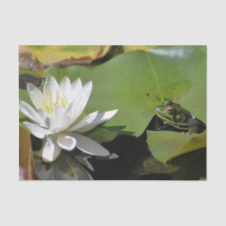 Frog Admiring Water Lily Decoupage  Tissue Paper