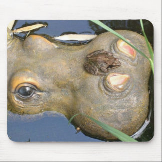 frog and hippo mouse pad