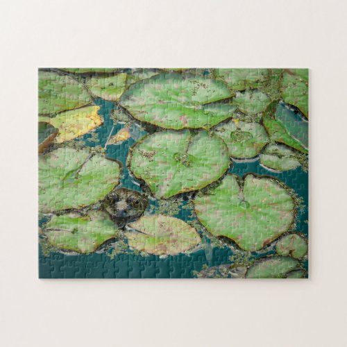 Frog and Lily Jigsaw Puzzle