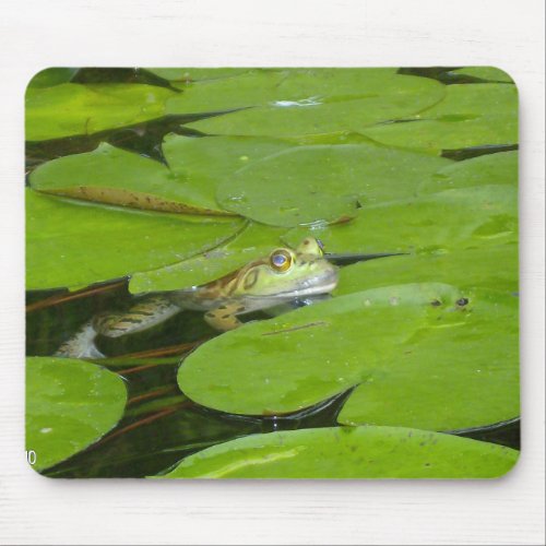 Frog and Lily Pad Mousepad