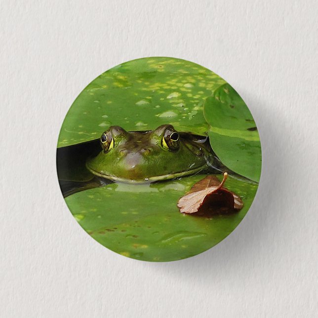 Frog and Lily Pads Button (Front)