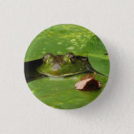 Frog And Lily Pads Button at Zazzle