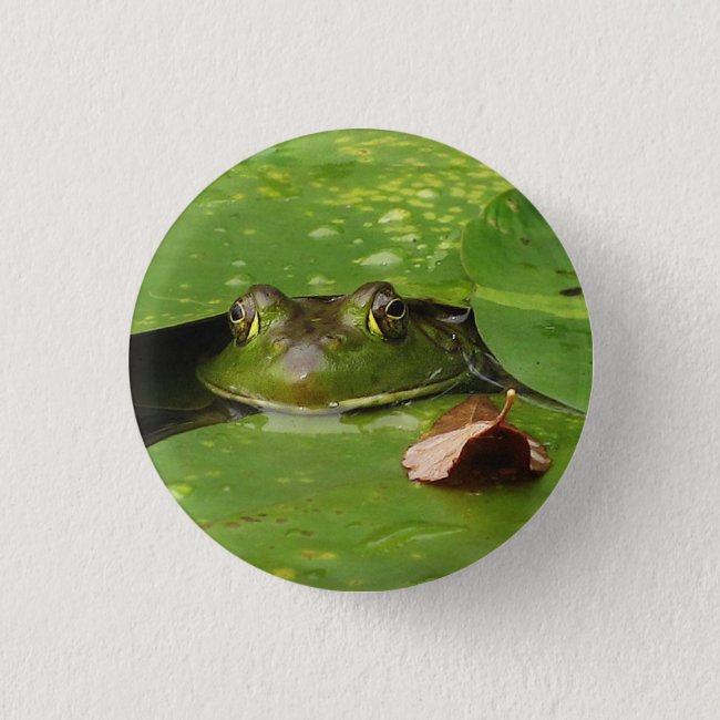 Frog and Lily Pads