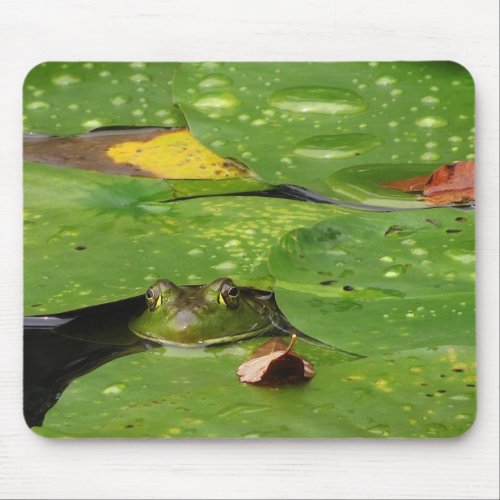 Frog and Lily Pads Mouse Pad