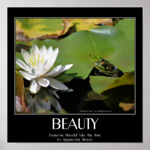 Frog And Lotus Flower Beauty Quote Inspirational Poster