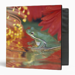 Frog and reflections among flowers. Credit as: 3 Ring Binder