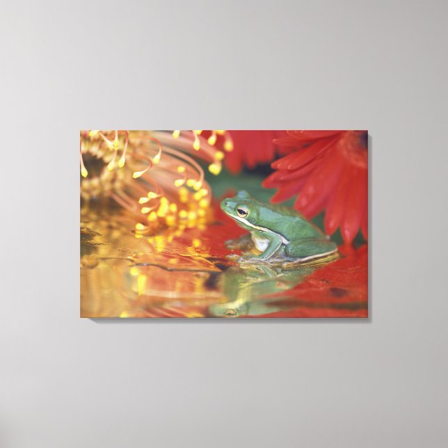 Frog and reflections among flowers. Credit as: Canvas Print (Front)