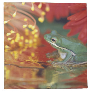 Frog and reflections among flowers. Credit as: Napkin