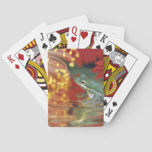 Frog and reflections among flowers. Credit as: Poker Cards