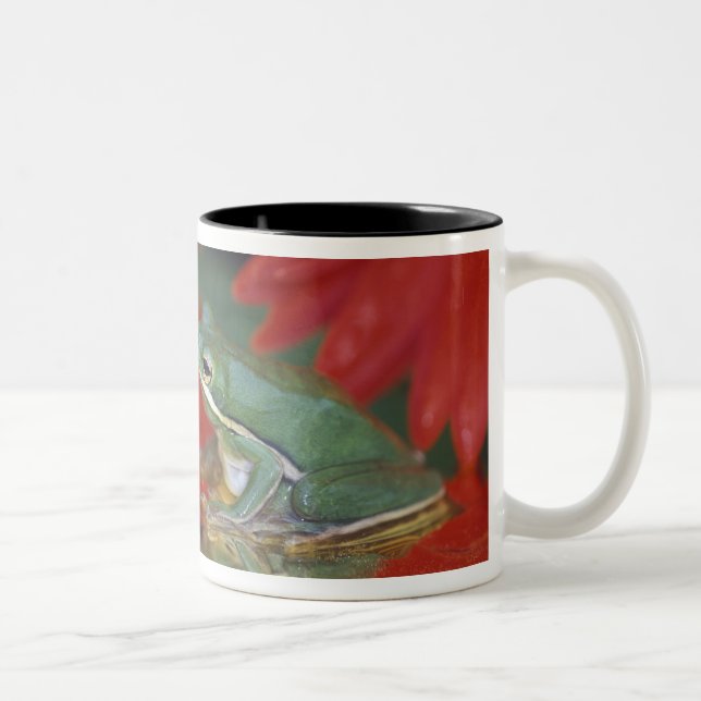 Frog and reflections among flowers. Credit as: Two-Tone Coffee Mug (Right)