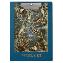 Frog and toad Ernst Haeckel vintage