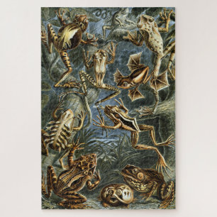 Frog and toad Ernst Haeckel vintage Jigsaw Puzzle