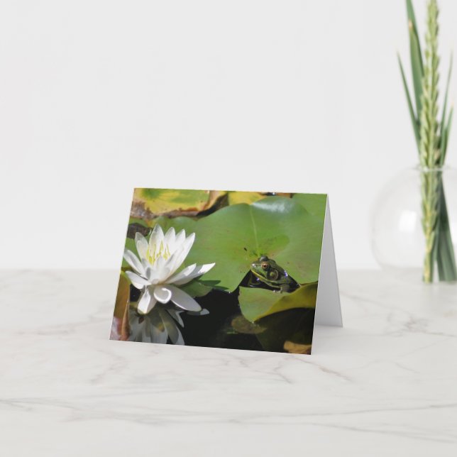 Frog And Water Lily Lotus Flower Photography  Note Card (Front)
